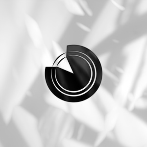 Pronoia (Bruno Ledesma Remix)