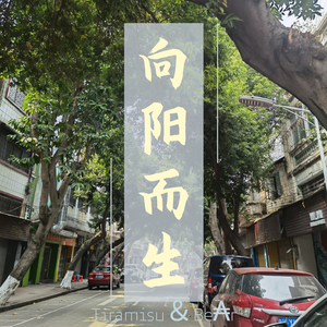 向阳而生（伴奏）