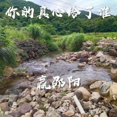 你的真心给了谁 (Live)