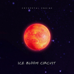 Pale Roses on a Void Screen