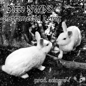 Ditto NWJNS (Instrumental Remix)