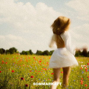 Sommarkatt
