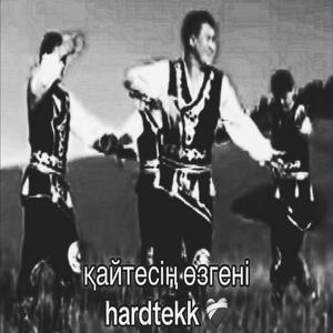 қайтесің өзгені hardtekk