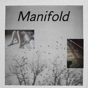 Manifold