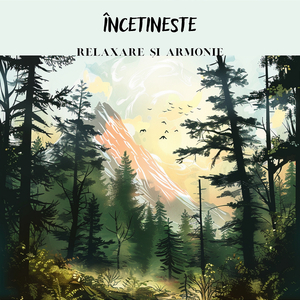 Odiseea pentru relaxare