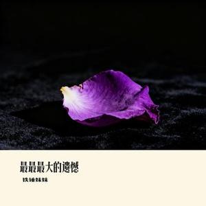 最最最大的遗憾