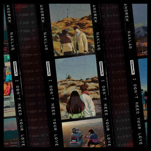 I Don't Need Your Love