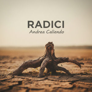 Radici