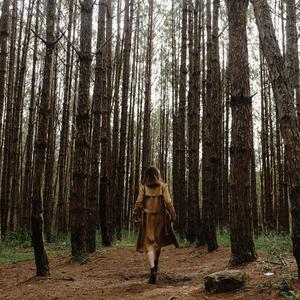 Die Insel Der Vergessenheit Op 8