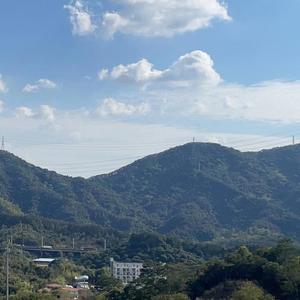 阳光灿烂的周末