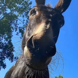 爱情专属权（片段）