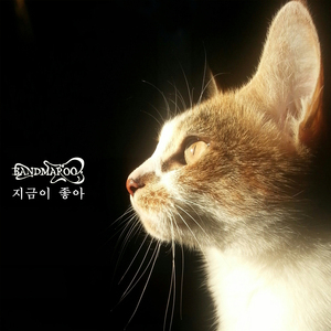 꽃길에 떨어진 이별