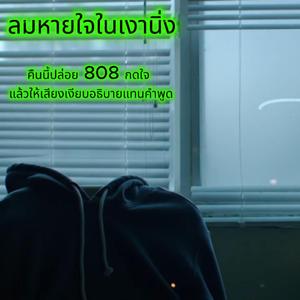 ลมหายใจในเงานิ่ง