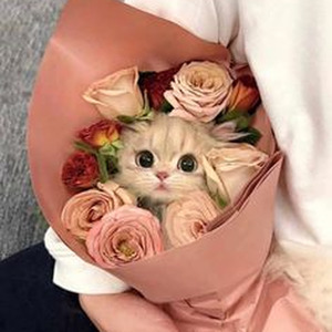 Tom's Diner (slowed)