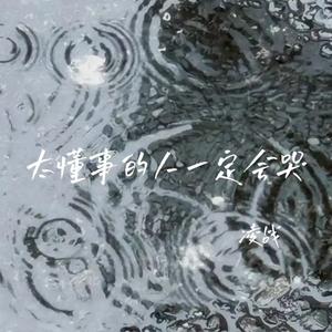 太懂事的人一定会哭