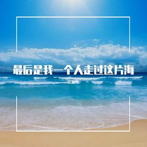 最后是我一个人走过这片海