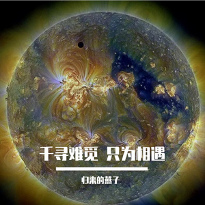 遗憾是会开花的痛