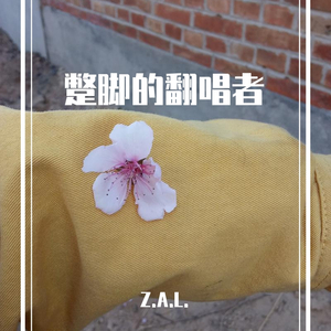 冬眠（cover司南）（翻自 司南）