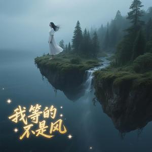 我等的不是风