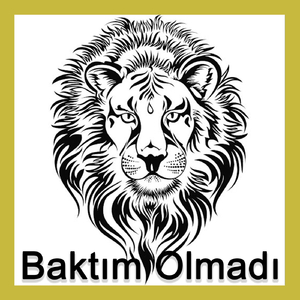 Baktım Olmadı