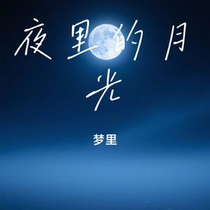 夜里的月光