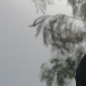 这个大叔不太冷 (cover: 马良 花粥)