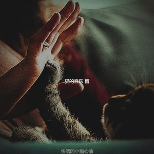 微妙的小猫心情