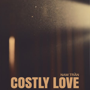 Costly Love