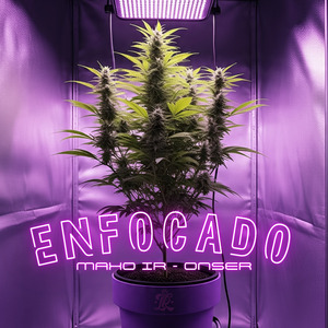 Enfocado