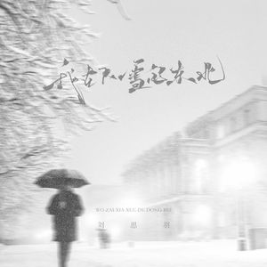 我在下雪的东北