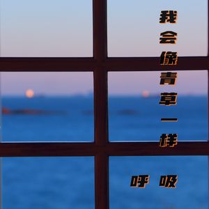 我会像青草一样呼吸