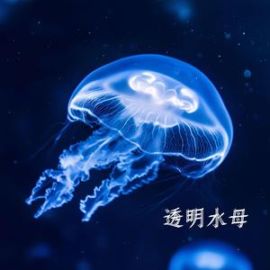 透明水母
