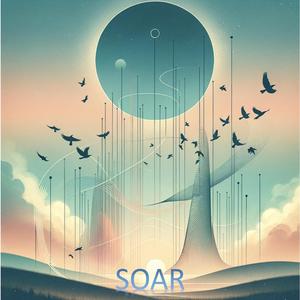 Soar