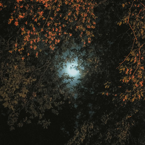 I thought you were stronger