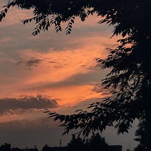 THROB(prod by.金桔0RANG3)