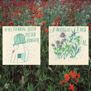 новая жизнь