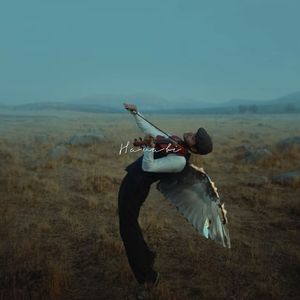 Hanabi（也许遗憾是人间常态）