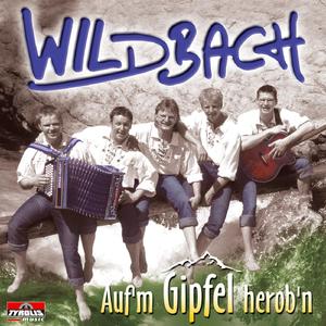 Dei Herz is a Wildbach