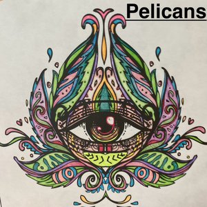 Pelicans