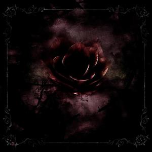 identity disturbance (slowed + reverb)