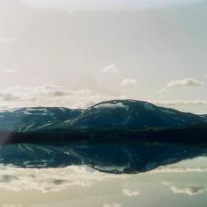 The Disease (feat. The Sorsh)