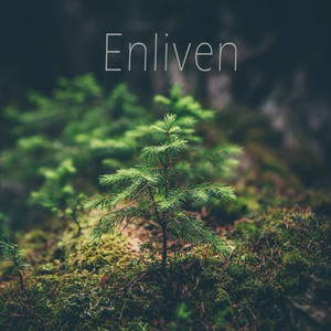 Enliven