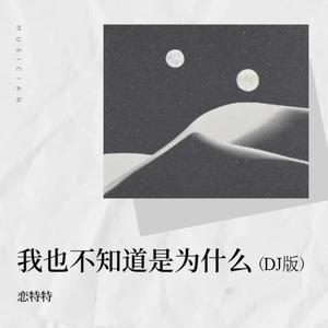 我也不知道是为什么 (DJ版)