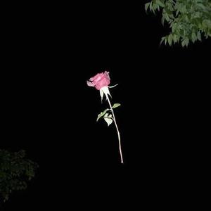 Listening to music everyone's happiness