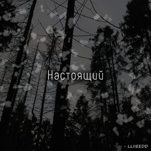Настоящий