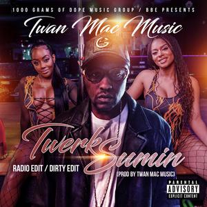 Twerk Sumin (Radio Edit)