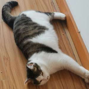 这个beats还是没有名