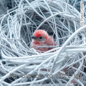 No chance to curl up (Founky Lady Mix)