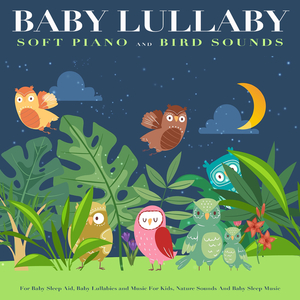 Baby Lullaby Academy
