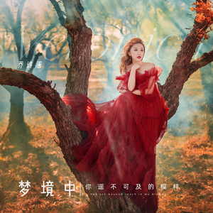 梦境中你遥不可及的模样